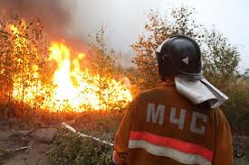 Ответ на ДЗ-156 касательно степных и предгорных пожаров в Алматинской области