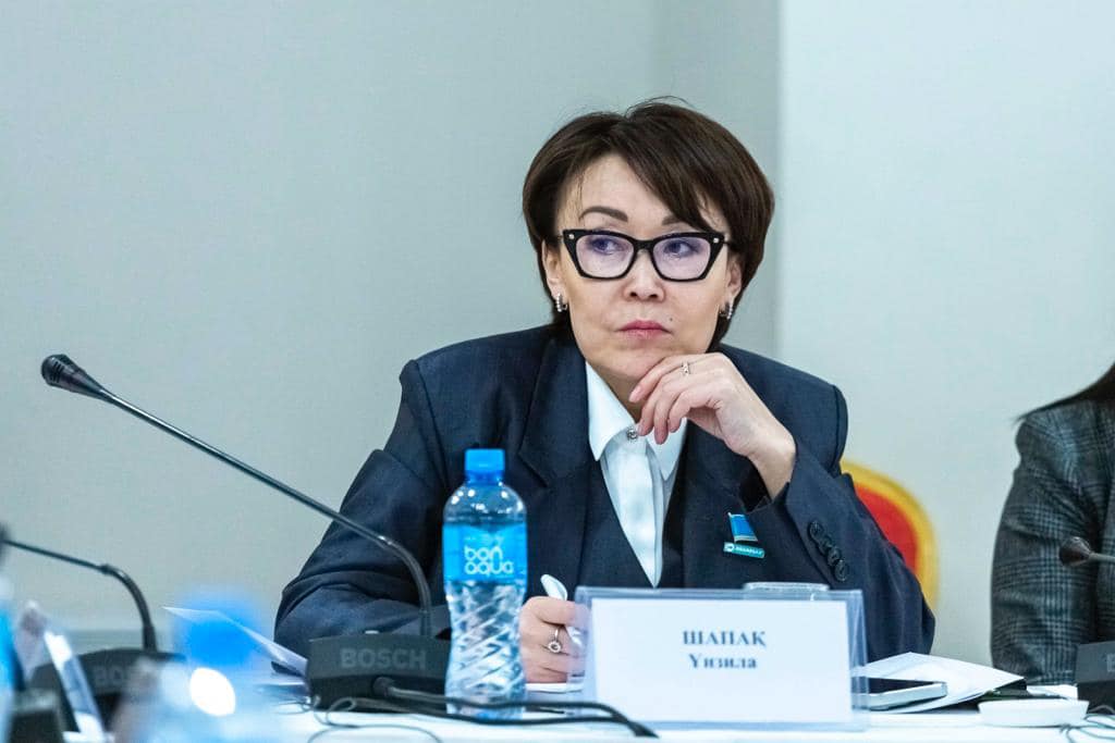 “Парламенттік бақылау” туралы жеке заң керектігі туралы