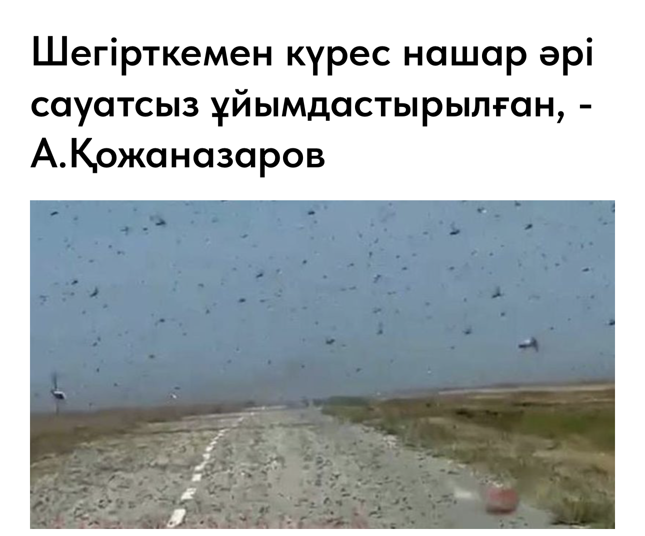 Шегіртке туралы