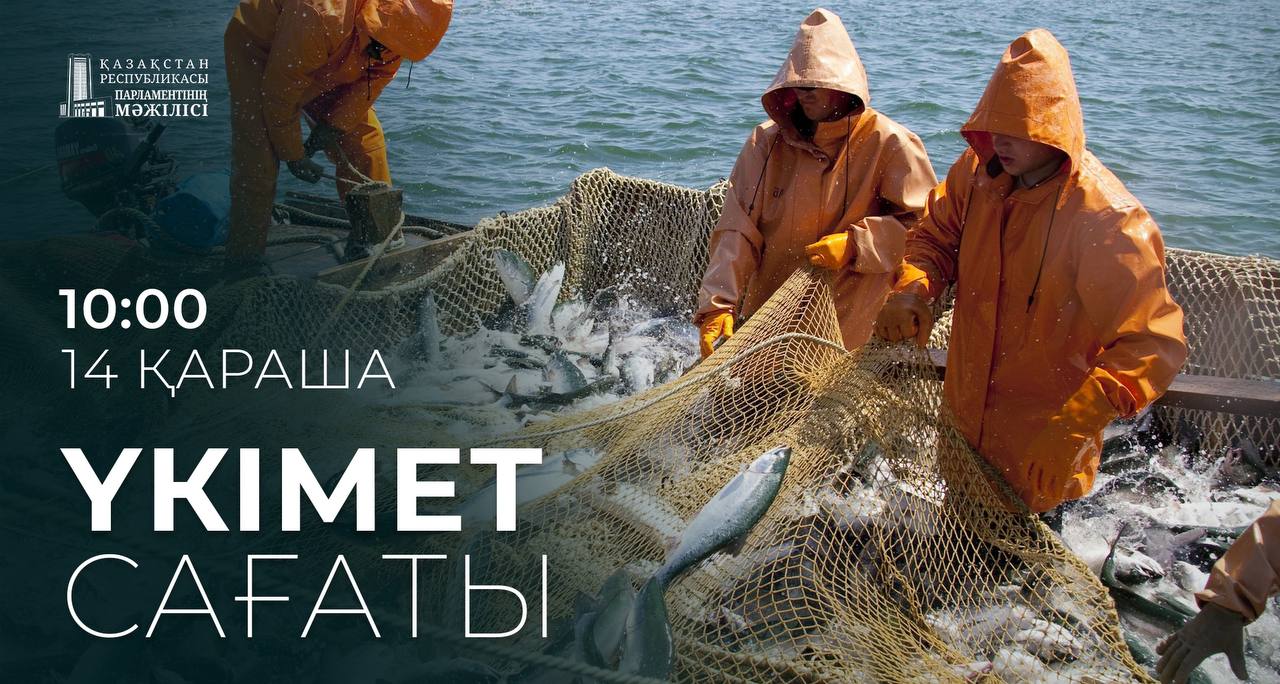 Правительственный час по вопросам рыбного хозяйства 