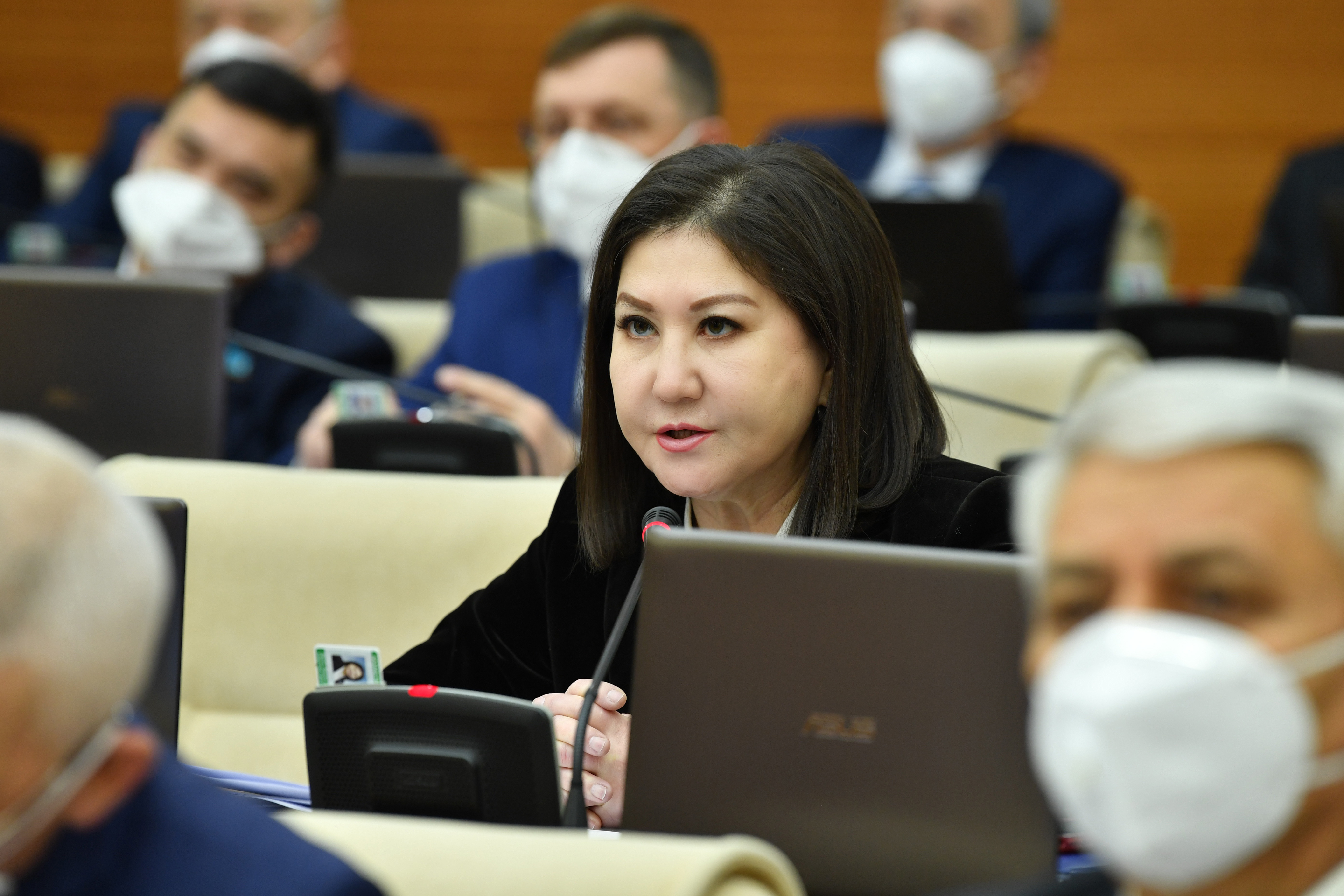 Депутатский запрос