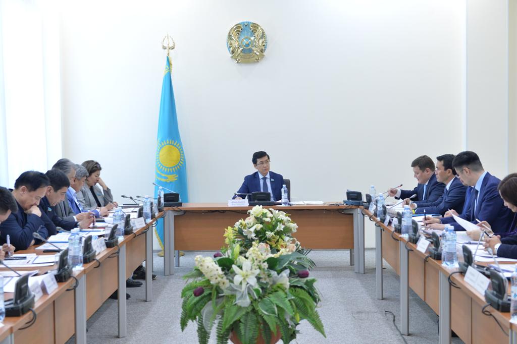 Әлеуметтік-мәдени даму комитетінің мүшелері Қазақстан Республикасының Мәдениет және спорт министрі А.Р. Ораловпен кездесуі