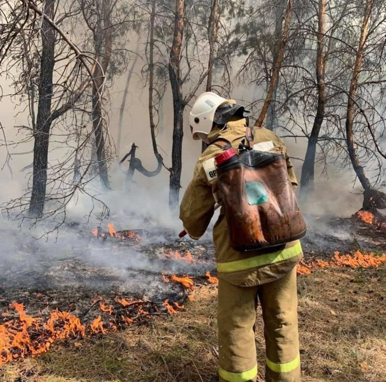 Искренне сопереживаю вместе с земляками пострадавшим от лесных пожаров в Костанайской области.