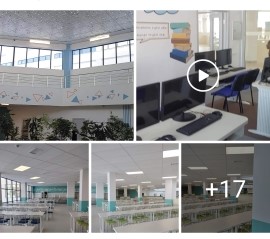 facebook желісі