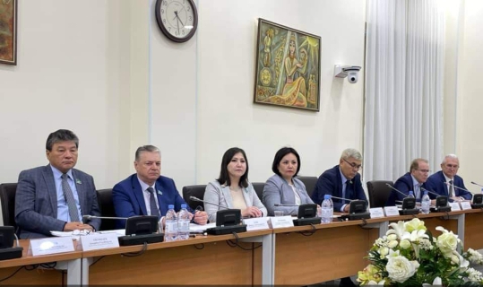 Парламентские слушания