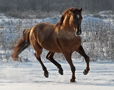 Член рабочей группы