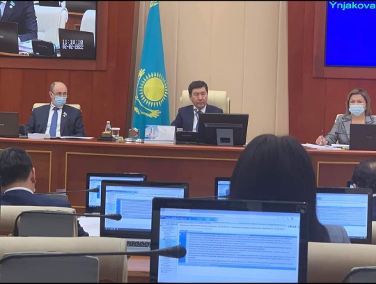 Депутатский запрос