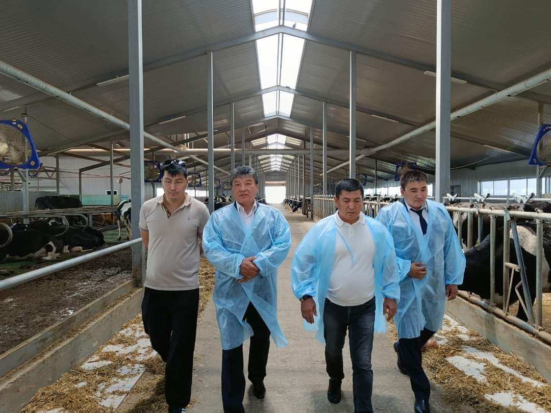 Депутат Аскарбек Уисимбаев в Атбасарском районе посетил молочно-товарную ферму ТОО «Шуйское XXI»