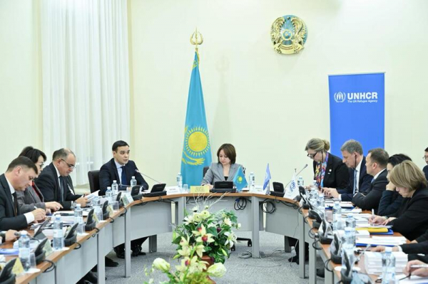 Тематическое заседание Комитета по законодательству и судебно-правовой реформе на тему: «Вопросы правового положения беженцев в Казахстане»