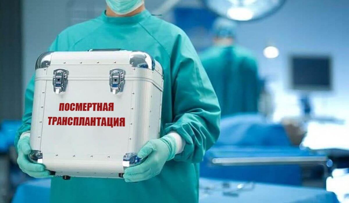 22.09.2022г. Пресс-конференция о развитии донорства органов и трансплантологии