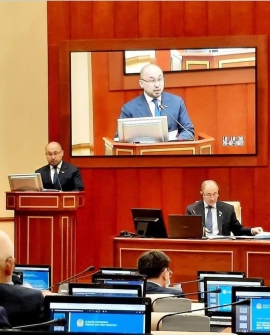 Правительственный час