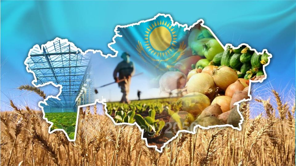 Развитие экспорта отечественной сельхозпродукции. Посвященно к 30 летию Независимости Казахстана