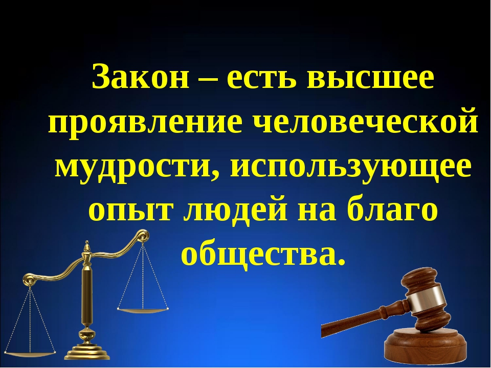 Законопроекты, по которым депутат является членом рабочих групп по подготовке заключений 