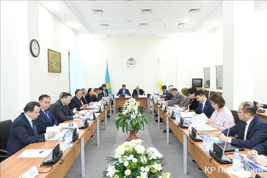 Участие на заседании Совета по региональной политике и работе с маслихатами при фракции партии «Нұр Отан»