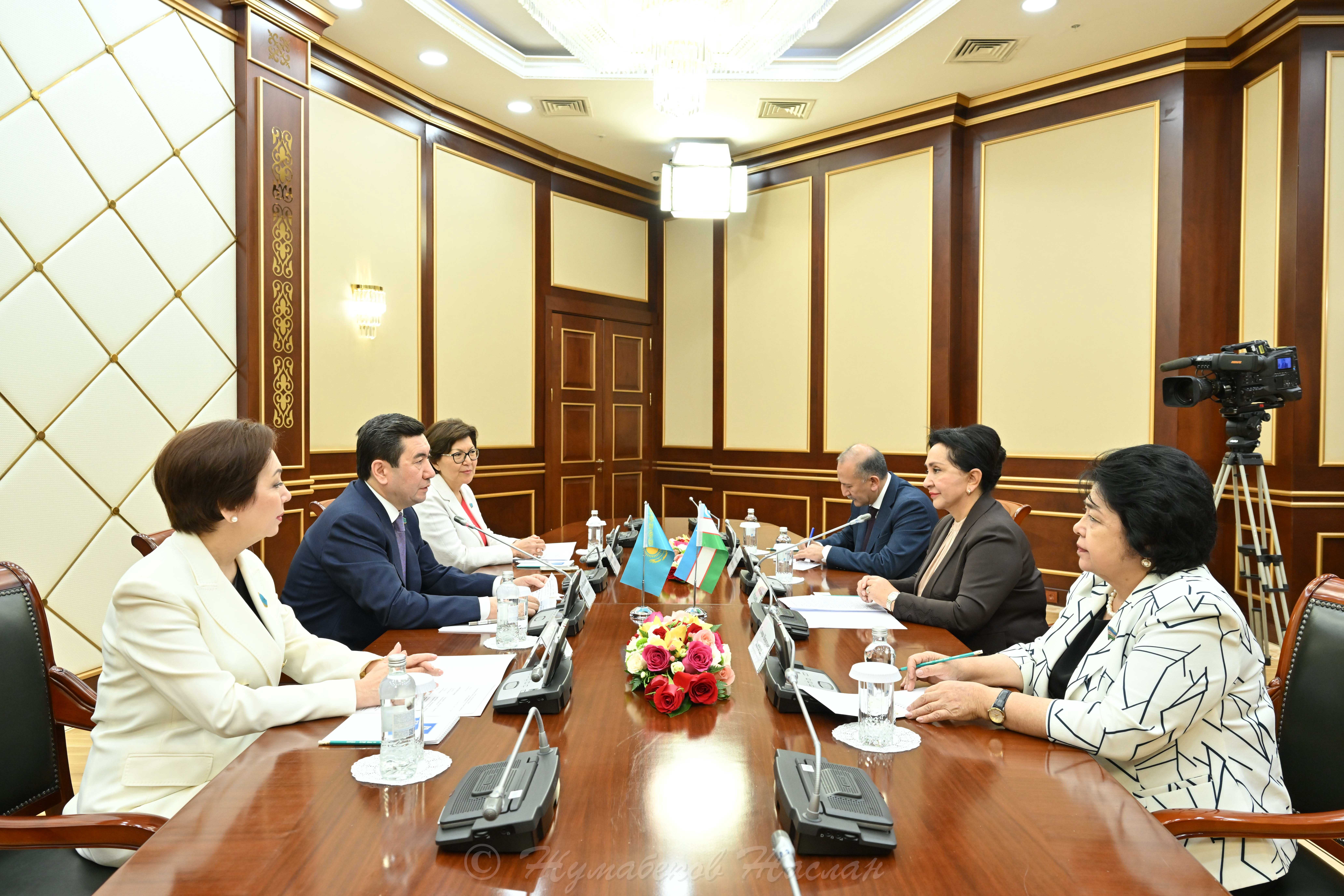 Өзбекстан Республикасы Олий Мәжілісі Сенатының төрағасымен кездесу