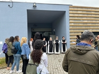 img10