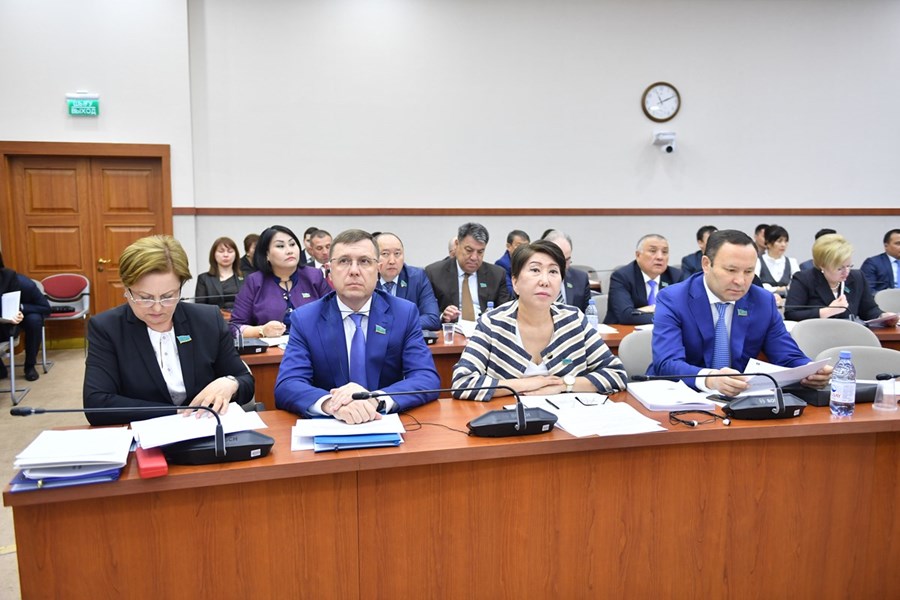 14.05.2019 Presentation in the Mazhilis: on the regulation and development of the financial market and microfinance activity